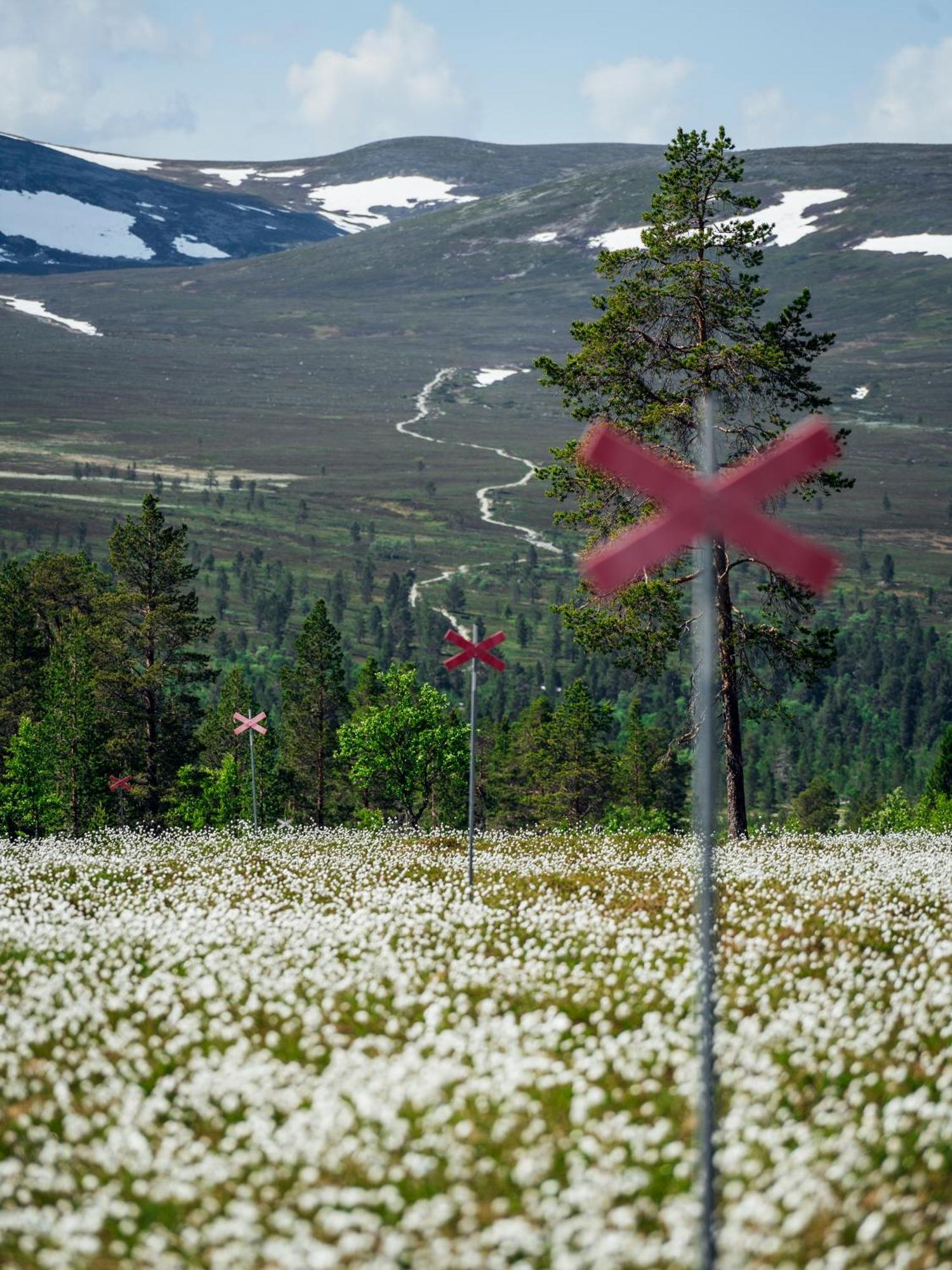 Loevasgardens Fjaellhotell Lovasen Eksteriør bilde